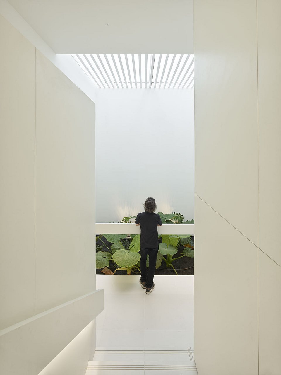 GPY Arquitectos. The New Casa de Los Volcanes Exhibition Space. Gallery - patio. Photograph: Roland Halbe